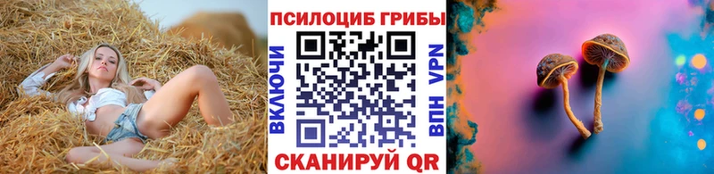 Галлюциногенные грибы Cubensis купить наркоту Нижний Ломов
